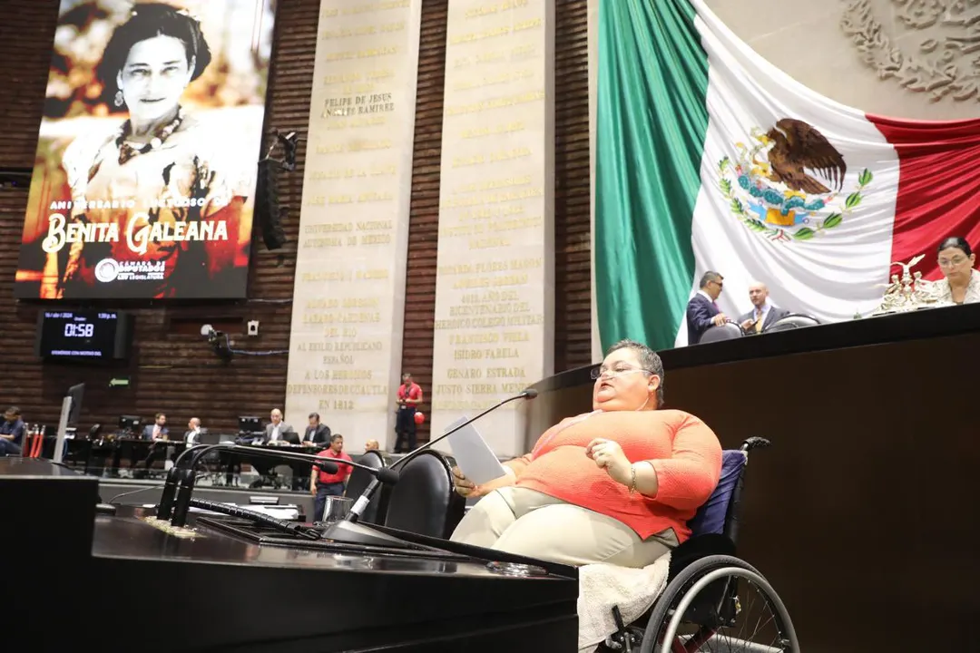 Norma Angélica Aceves García, ex diputada del PRI