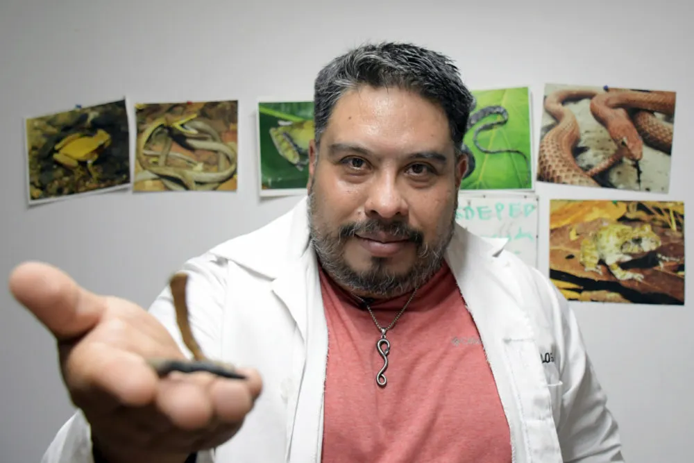 Investigador de la BUAP participa en el descubrimiento de nueva especie y género de serpiente endémica de Puebla