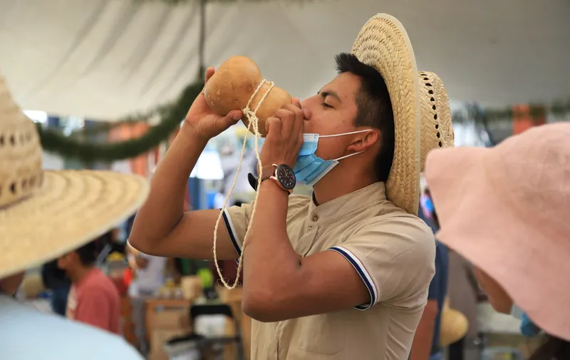 Festival del Pulque 2023