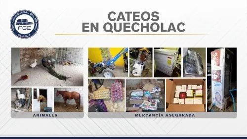 En cateos de Quecholac, FGE encontró unidades robadas y mercancía; hay 3 detenidos