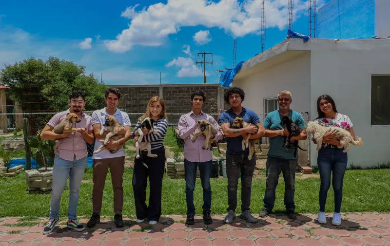 Apoyo comunitario y protección animal será una realidad en Puebla: Armenta
