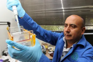 Cáncer de próstata, 2ª causa de muerte por tumores malignos en mayores de 65 años