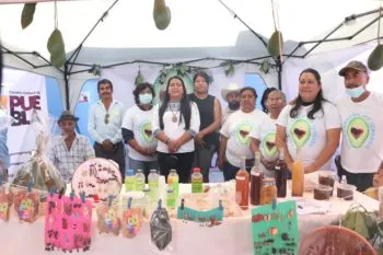 Impulsará SDR a productores agroindustriales de aguacate