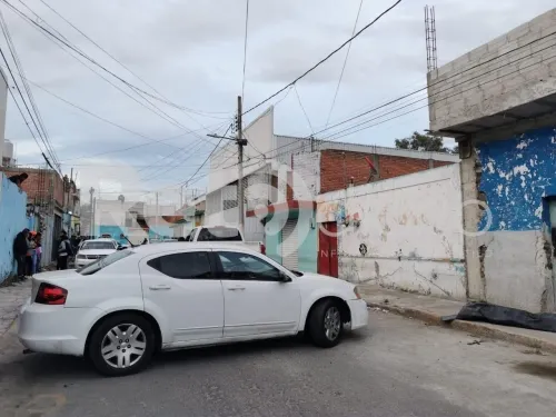 Hallan un león durante cateo a casa del presunto feminicida de Laura Patricia