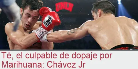 Té, el culpable de dopaje por Marihuana: Chávez Jr