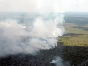 Prevén intensa temporada de incendios en Tulum