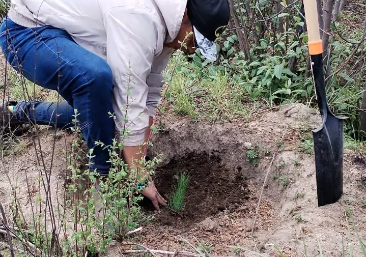 Reforestación Agua de Puebla