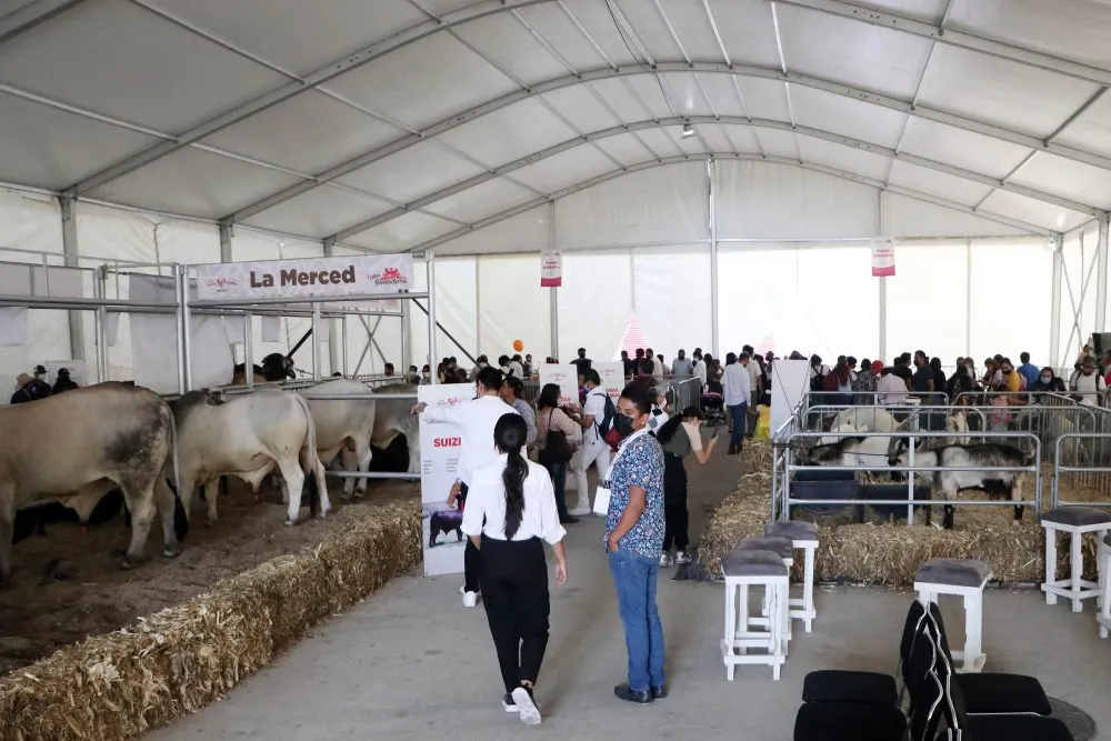 Con apoyo de SDR, productores consuman venta de animales en Expo Ganadera