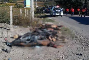 PGR investigará caso de jóvenes decapitados en Guerrero