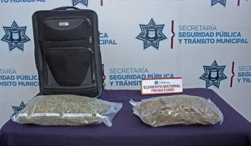 Aseguró Grupo K9 de la SSPTM de Puebla alrededor de dos kilogramos de posible marihuana