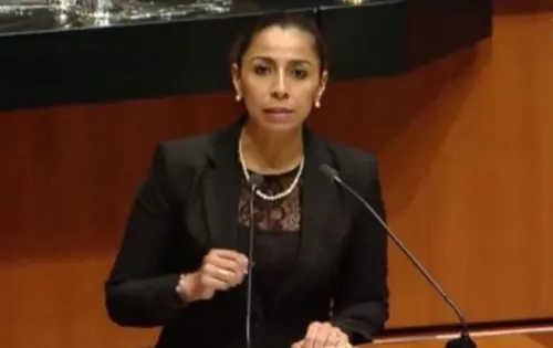 Senadora de Morena niega incremento en su patrimonio