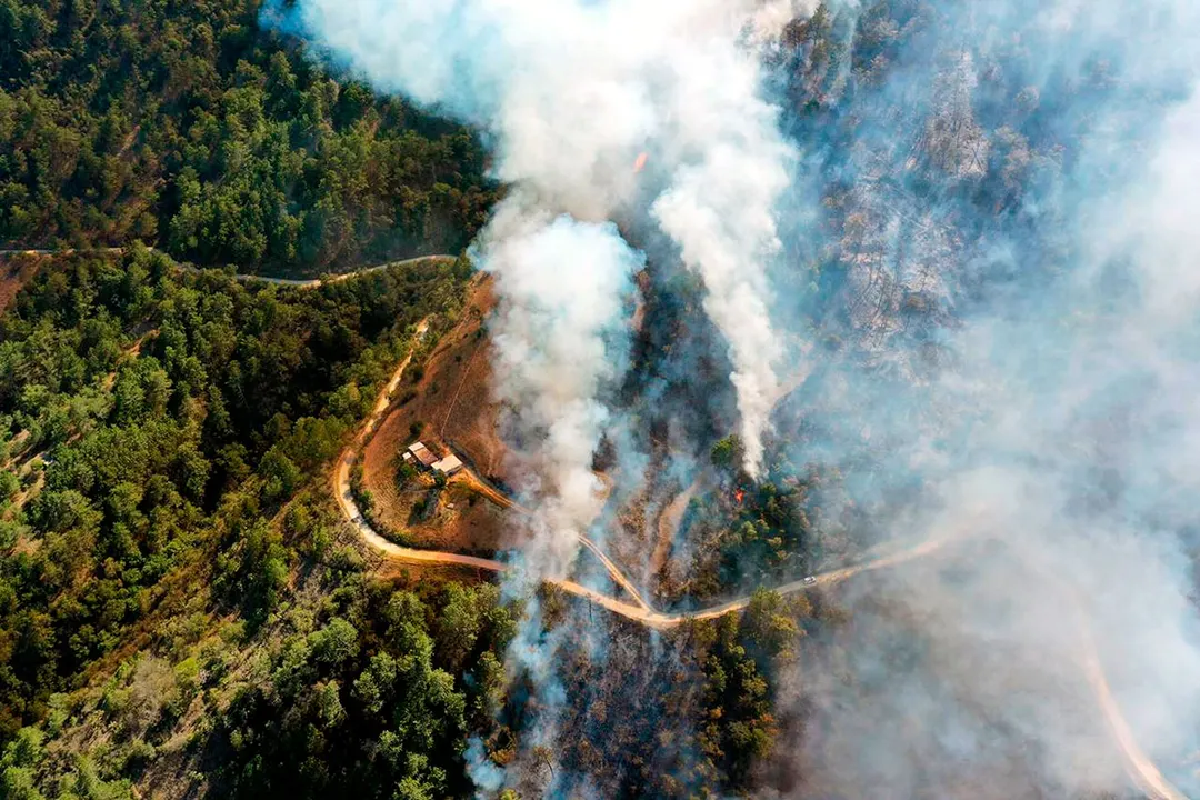 Incendio Forestal Zacatlan