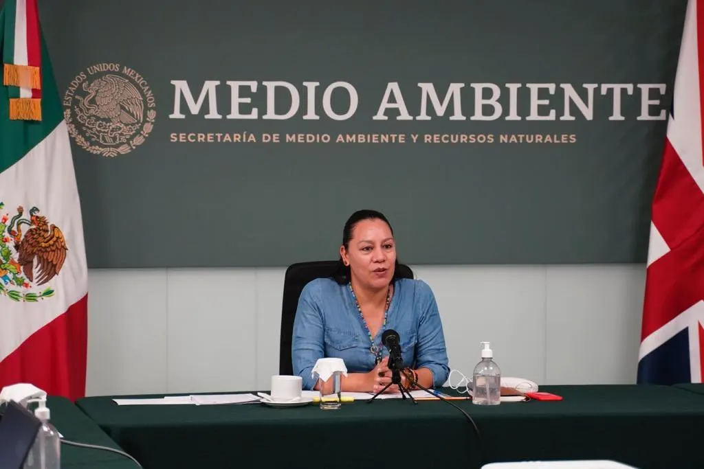 María Luisa Albores González