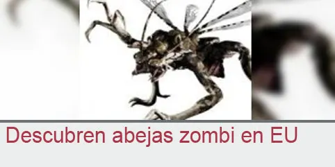 Descubren abejas zombi en EU