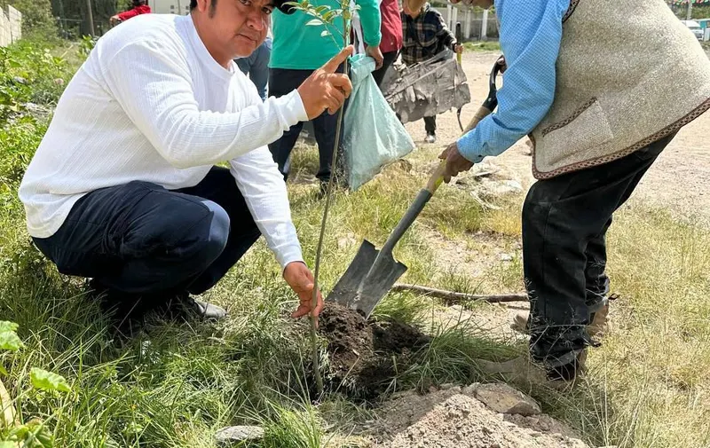 Imagen del artículo