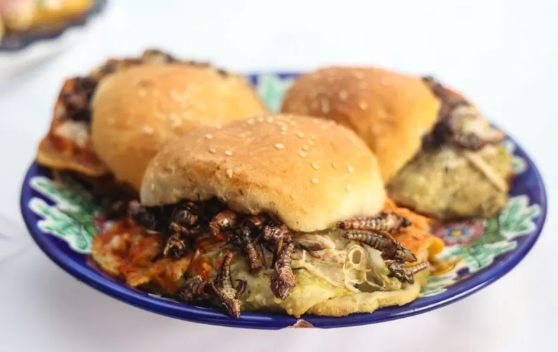 Cemitas de cocodrilo y jabalí, la apuesta del Festival de la Cemita Poblana 2025