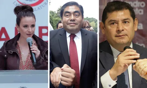 Las interrogantes de la encuesta de Morena
