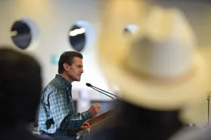 EPN enviará al Congreso Ley para la Protección de Niños