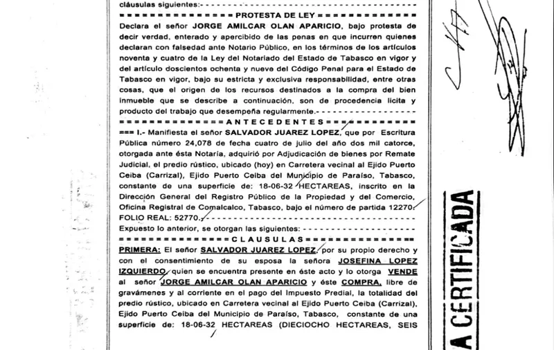 Foto: Redes