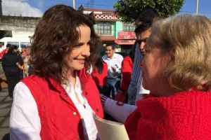 Formaliza De la Sierra solicitud de seguridad personal al INE