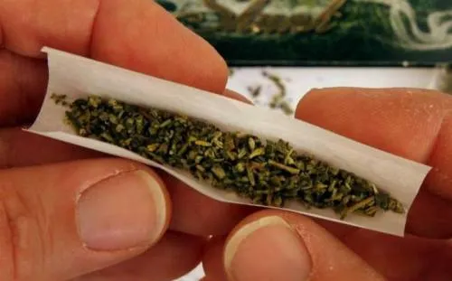Un muerto y casi 40 hospitalizados en EU por consumir mariguana sintética