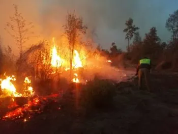 Este viernes 28 de marzo brigadistas se darán a la tarea de apagar incendios forestales en 4 municipios