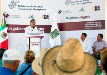 Se fortalecerá la siembra de agave mezcalero en la Mixteca poblana: Céspedes Peregrina