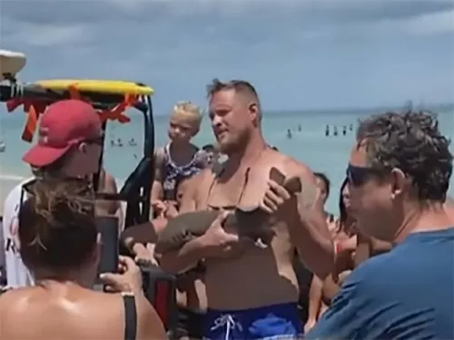 ¡Increíble! Pequeño tiburón muerde brazo a hombre y no lo quería soltar