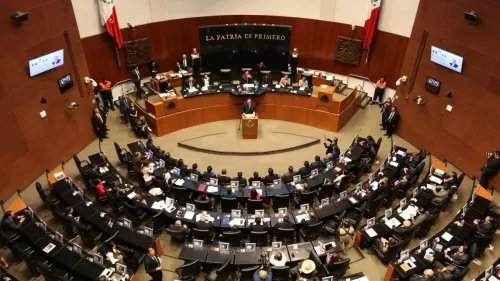 Senado emite decreto que prohíbe condonar impuestos