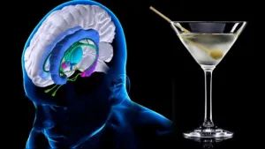 Estudio revela que el alcohol es fuente de energía para el cerebro