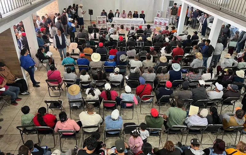 congreso-pue-angelica-alvarado-campo-poblano