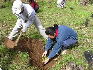 Semarnat destina 8 mmdp en medio ambiente de Puebla