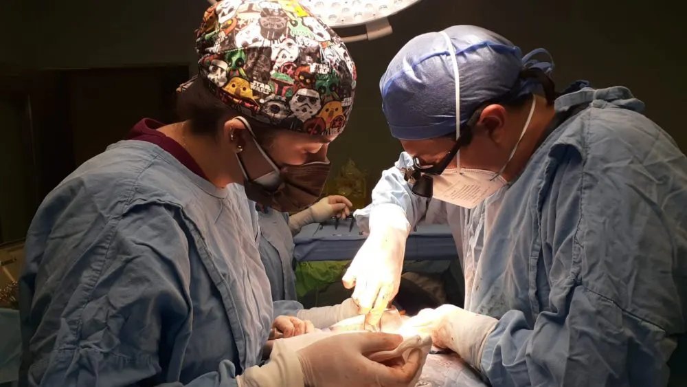 Realiza ISSSTEP el quinto trasplante renal del año