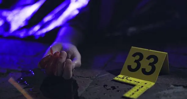 Puebla registra 740 homicidios dolosos en 2025 y se ubica en el lugar 12 nacional: SESNSP