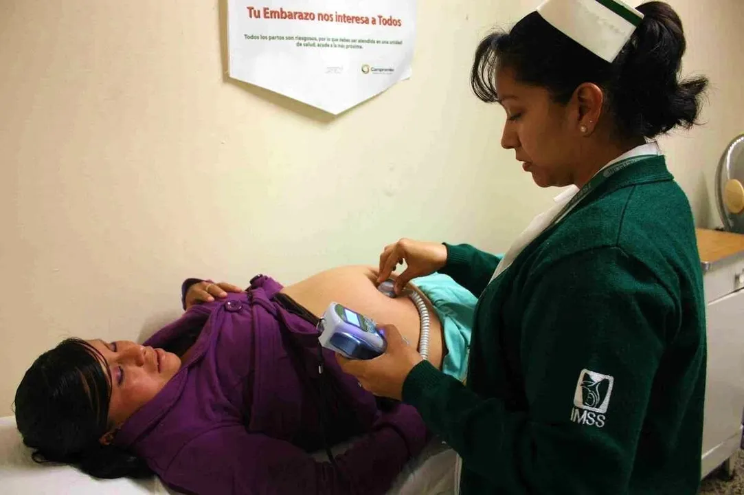 IMSS Embarazo