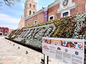 Disfruta del último fin de Semana Santa recorriendo la ruta de museos y el mosaico floral en Atlixco