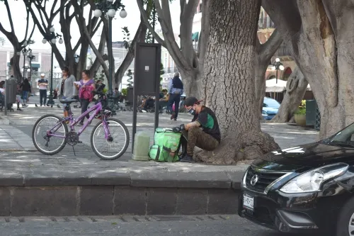 Empresa sustituye naranjitas en Centro Histórico por Covid-19