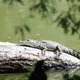 Foto: Anel Esgua / EsImagen
