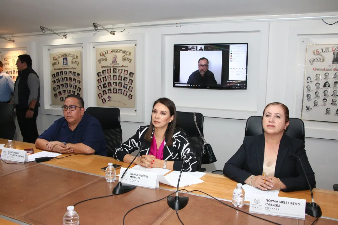 Comision De Ong Congreso De Puebla