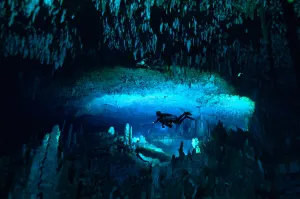 Animal Planet revela toda la belleza natural de Las Bahamas