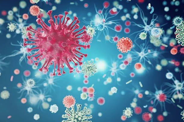 Confirman primer caso humano de influenza aviar H5N1 en México
