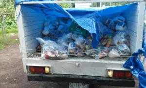 PRI-Verde entregan despensas y hacen guerra sucia en Tlatlauquitepec
