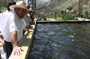 Buscan regularizar la producción acuícola en Puebla