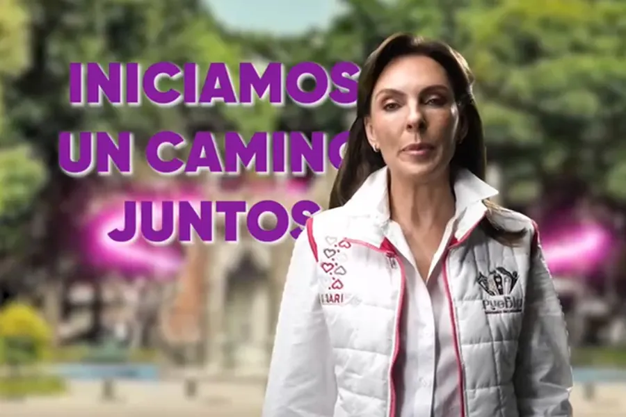 Smdif Pue Marielise Budib Clip Primer Informe