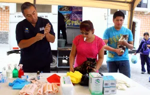 Inicia Salud acciones de la Semana Nacional de Vacunación Antirrábica