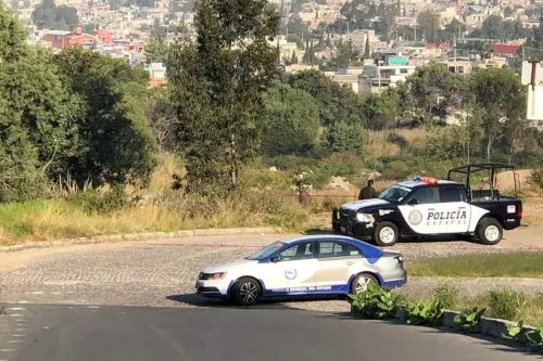 Vigilancia permanente en Haras del Bosque por ola de ejecuciones