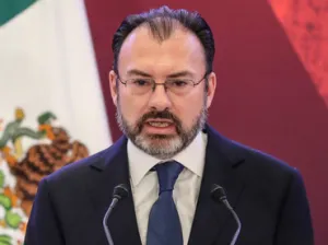 Videgaray acepta errores en visita de Trump a México