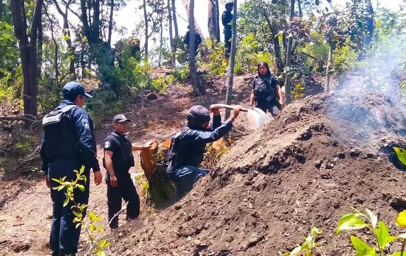Inhabilita SSP hornos para la deshidratación ilegal de madera