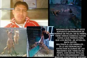 En Facebook exhiben maltrato de animales en Texmelucan