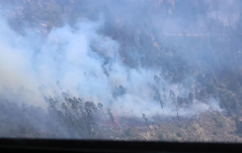 armenta-incendios-forestales